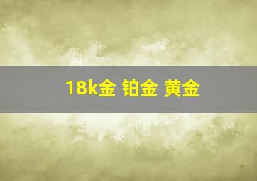 18k金 铂金 黄金